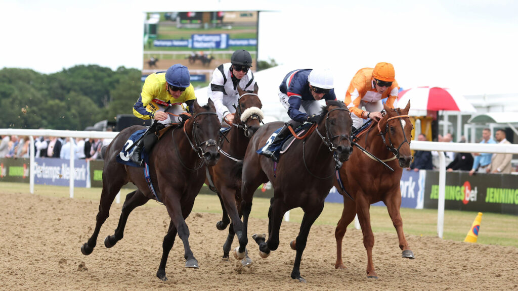 Yarmouth & Newcastle Racing Tips - Joe Napier's Lucky 15 Tips for Friday 26 June
