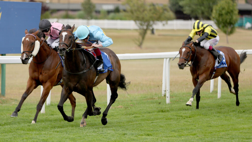 Jonathan Portman craving Group 1 status at Royal Ascot