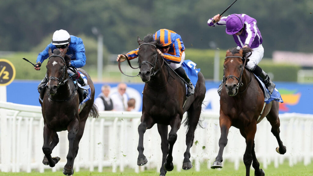 Eclipse Trends 2026: Sandown's middle distance showpiece analysed