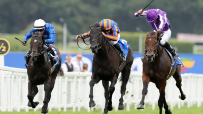 Eclipse Trends 2026: Sandown’s middle distance showpiece analysed