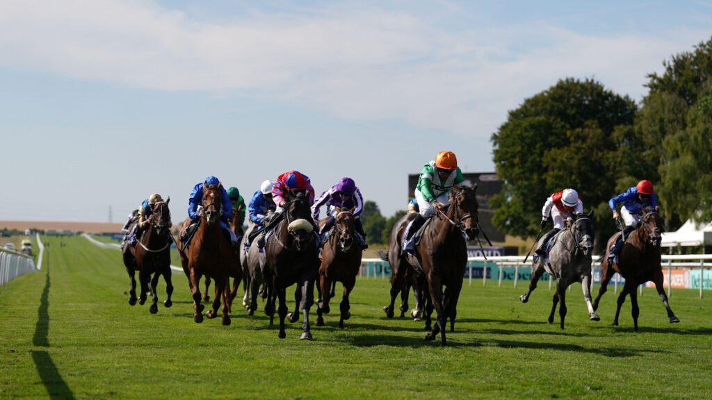 July Cup Trends 2026: Summer Sprint Showpiece by the Stats