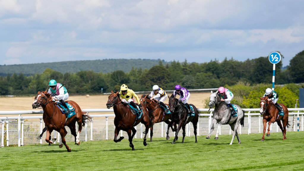 When is Glorious Goodwood 2026? All you need to know about this summer's big racing festival