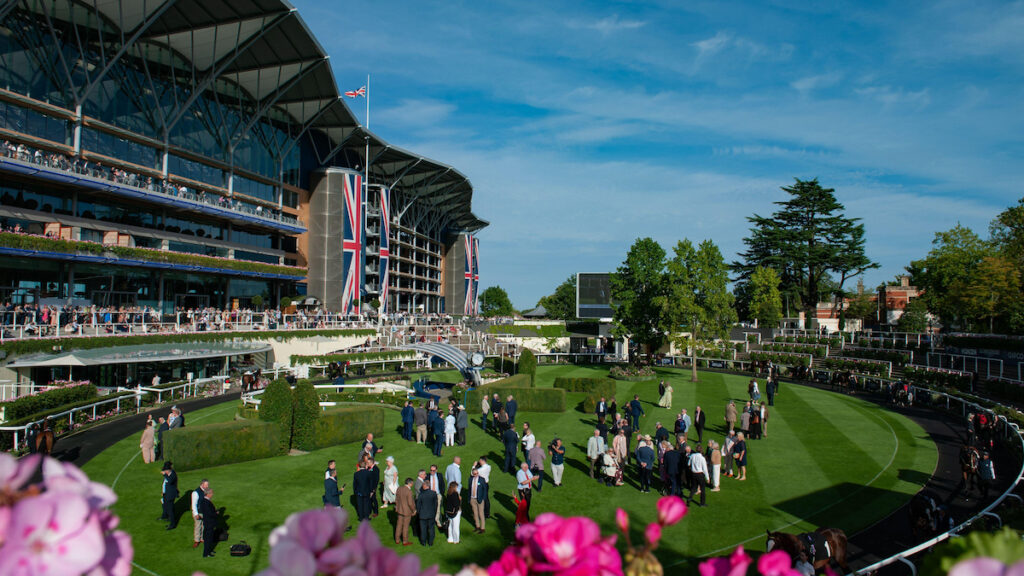 Racing news today: Bookmakers reveal Royal Ascot liabilities as course invests in heat cover - Tuesday 16 June