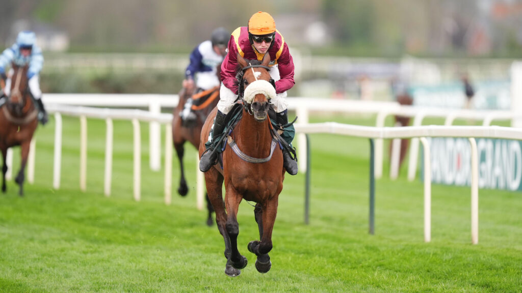 Hunter Chase expert Joe O’Shea to resume training