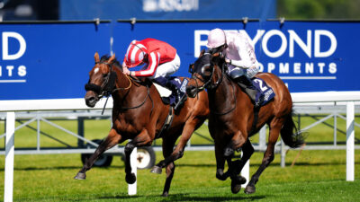 Robert Havlin hoping Sweet William can make it third time lucky in the Gold Cup