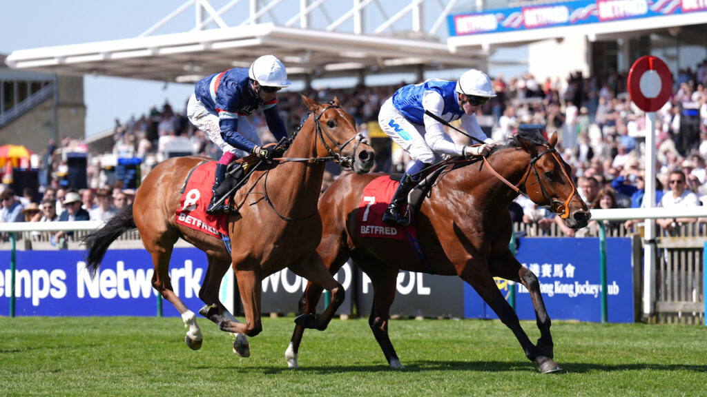 Royal Ascot Day 3 Tips - Andrew Mount's Best Bets for Thursday 18 June