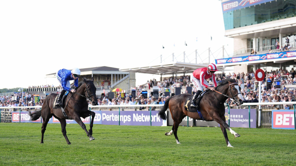Six declared for Criterion Stakes as Saber Strike aims to bounce back from Jersey disappointment 