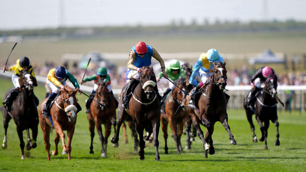 Richard Brown gives the lowdown on Wathnan Racing’s Royal Ascot squad