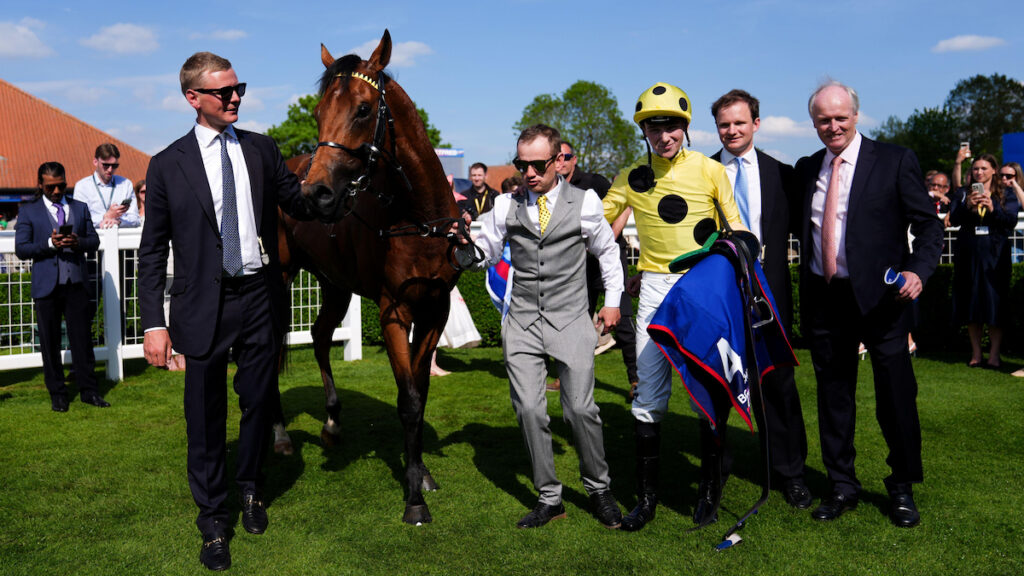 “He has undoubtedly got stronger” - Bow Echo in rude health ahead of Royal Ascot 
