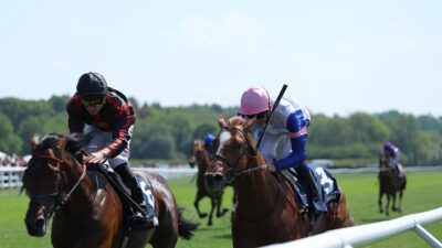 William Haggas seeking Classic redemption with Derby runner-up Maltese Cross