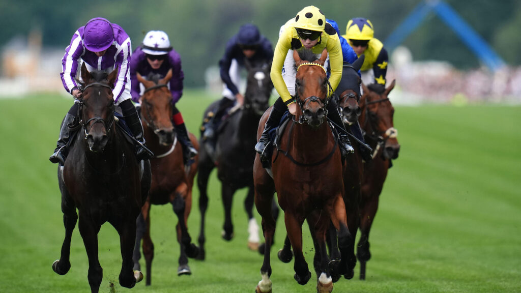 Bow Echo stays unbeaten with thrilling St James’s Palace Stakes win