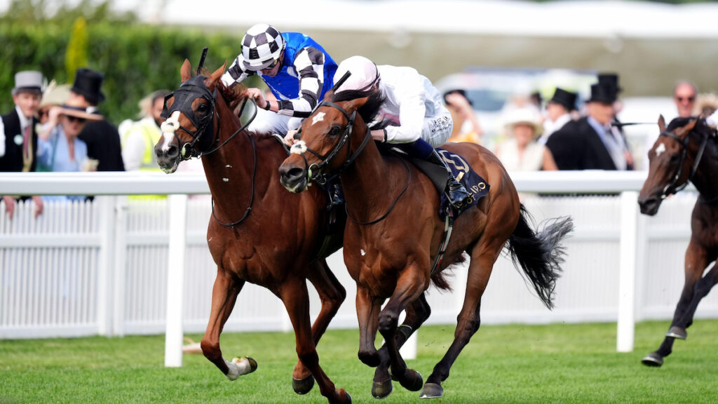 Kizlyar a poignant winner of the Ascot Stakes as Joseph O’Brien lands forecast