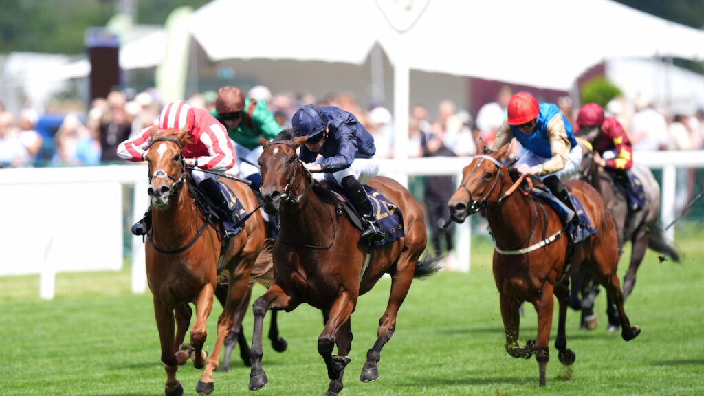 ‘A peak professional’ - Aidan O’Brien ecstatic as Victorious wins Queen Mary Stakes