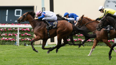 Limestone denies Del Maro in Queen’s Vase head-bob