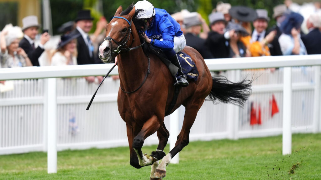 Ombudsman produces scintillating Prince Of Wales’s performance