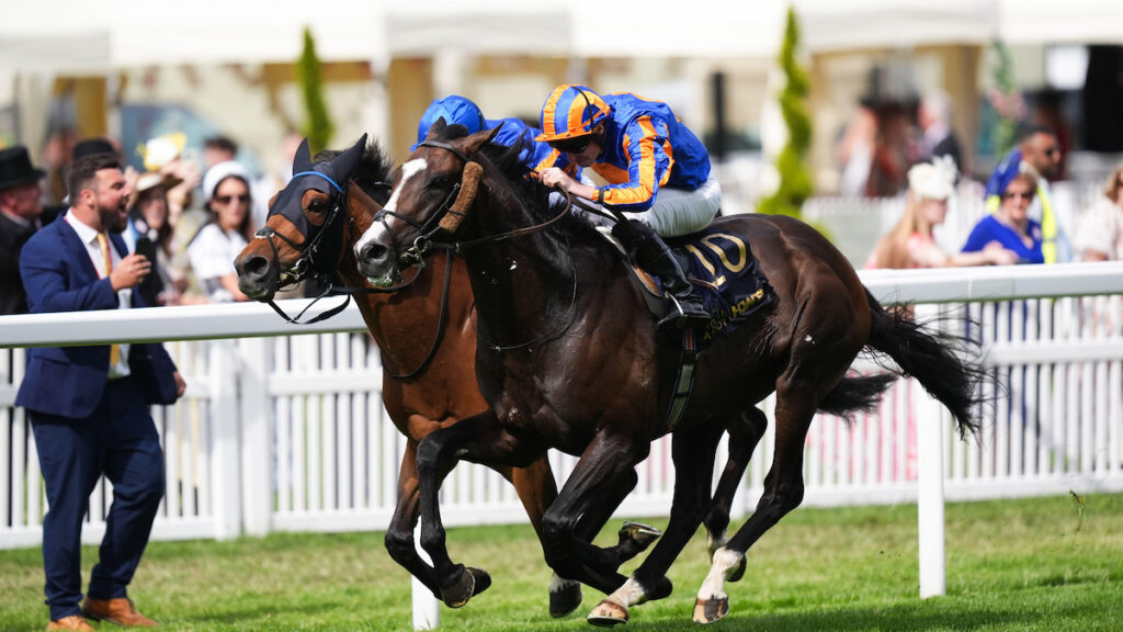 Racing news today: Scandinavia wins glorious Gold Cup battle against Trawlerman - Friday 19 June