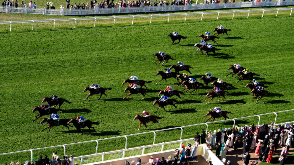 Andrew’s Angles - Royal Ascot Round-Up