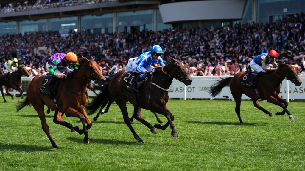 Lofty targets set for Commonwealth Cup winner Venetian Sun