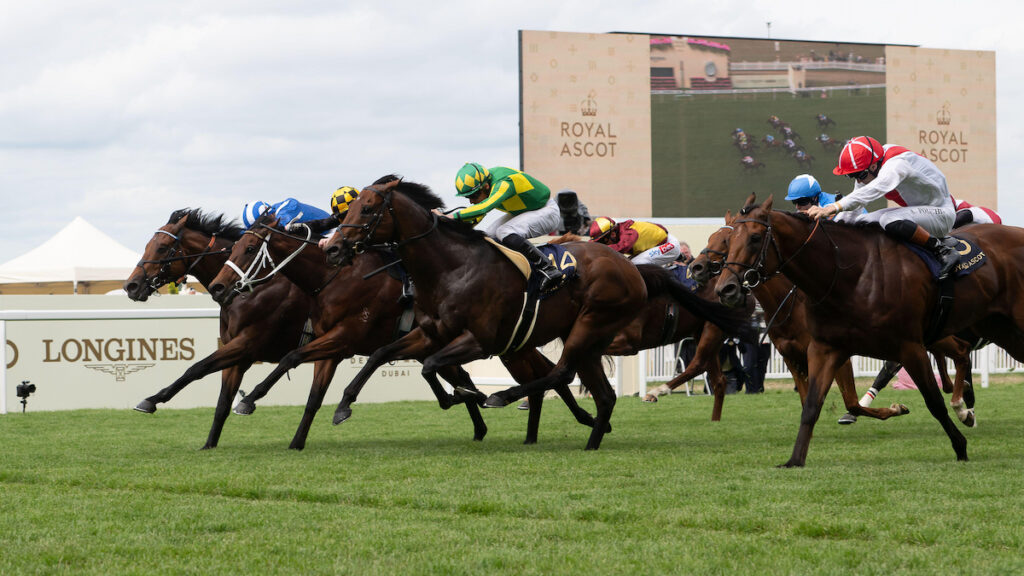 Racing news today: Almeraq denies internationals as Ballydoyle reign - Monday 22 June