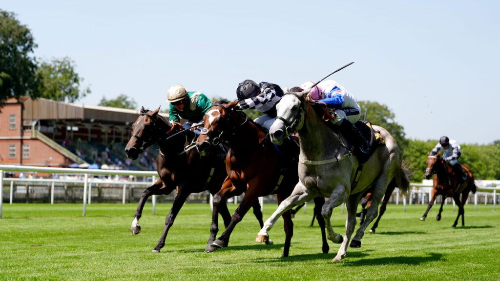 Racing news today: 1/9 favourite upset alongside Listed dead heat - Friday 26 June