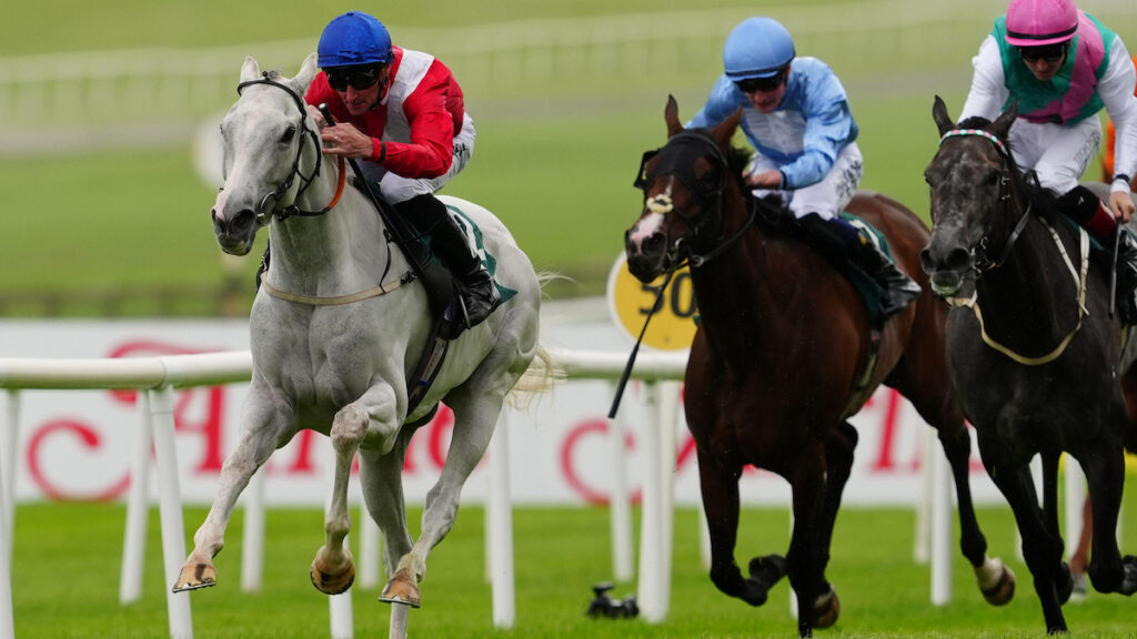 Nassau Stakes on the agenda for Group 1 winner Estrange