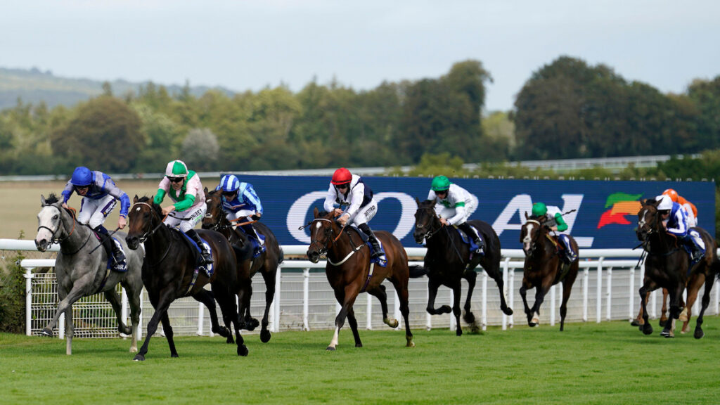 Glorious Goodwood Racing Tips - Matthew Sutcliffe's Best Bets for Friday 31 July