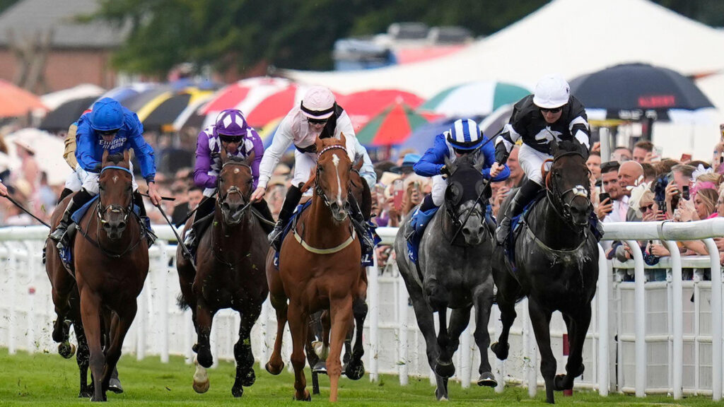 Glorious Goodwood Racing Tips - Andrew Mount's Best Bets for Saturday 1 August