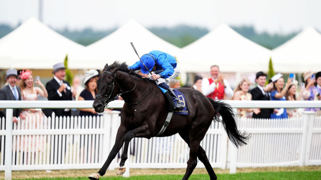 Rebel’s Romance makes his return as Charlie Appleby gives the lowdown on July meeting team
