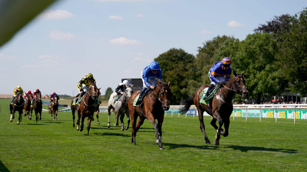 Newmarket & York Racing Tips - Joe Napier's Lucky 15 Tips for Friday 10 July