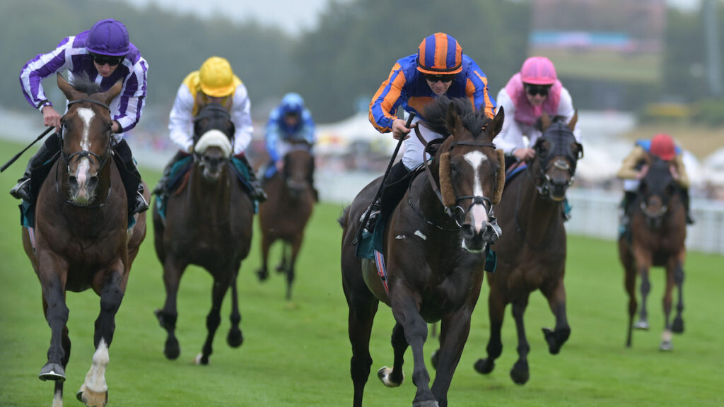 Glorious Goodwood 2026 Day 1 Trends: Vital Stats & Information For Tuesday 28th July