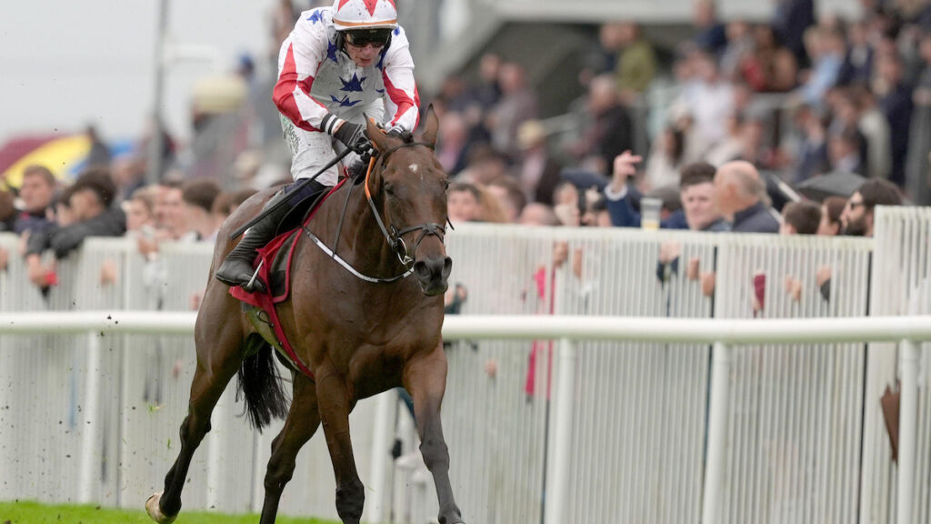 Galway Plate tips, odds, racecard & trends 2026: Veteran can go one better in feature handicap