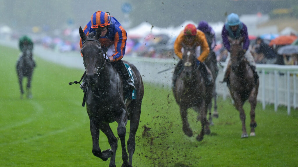 Glorious Goodwood 2026 Day 3 Trends: Vital Stats & Information For Thursday 30th July