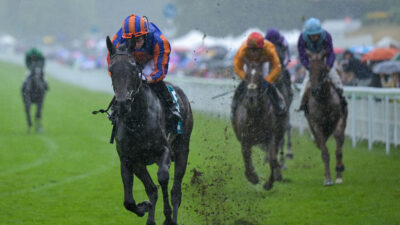 Glorious Goodwood 2026 Day 3 Trends: Vital Stats & Information For Thursday 30th July
