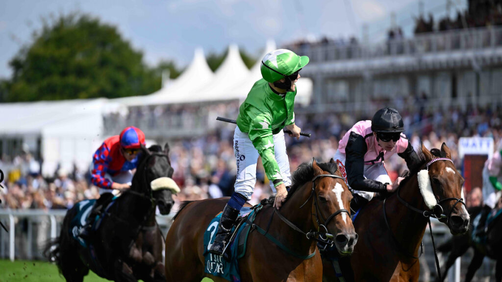 Glorious Goodwood 2026 Day 4 Trends: Vital Stats & Information For Friday 31st July