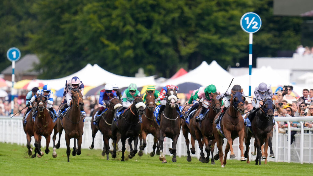 Stewards' Cup Runners 2026: Full field of 28 aim for Goodwood's feature handicap