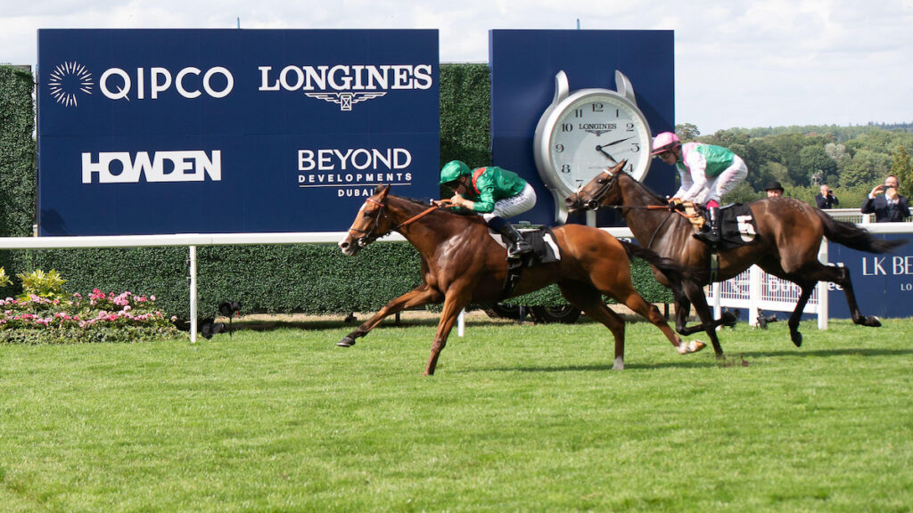 King George VI & Queen Elizabeth Stakes tips, odds, racecard & trends 2026: Eyes of the world on Ascot spectacular
