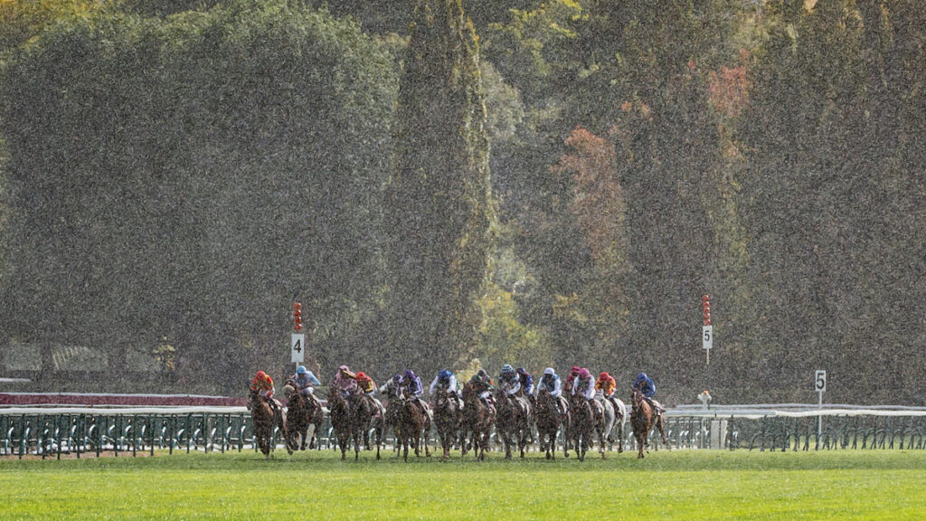 Racing news today: Arc decision will stand as Chelmsford racecourse loses appeal - Wednesday 1 July