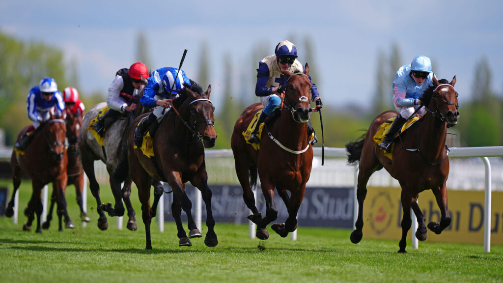 Princess Of Wales's Stakes tips, odds, racecard & trends 2026: Verdict on July meeting day one feature