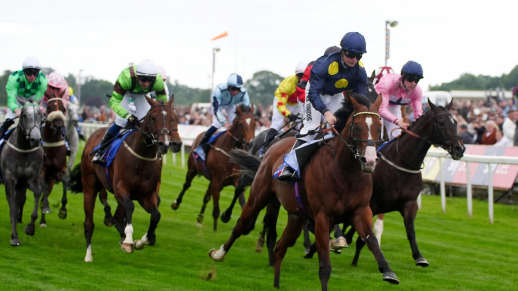 ‘Group horse’ in the making Extremely Zain heads Moet & Chandon International Handicap field