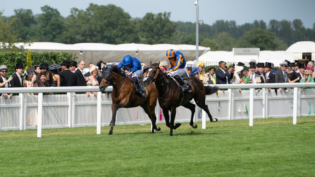 Goodwood Cup tips, odds, racecard & trends 2026: Royal Ascot rematch set between Scandinavia & Trawlerman