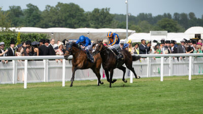 Goodwood Cup tips, odds, racecard & trends 2026: Royal Ascot rematch set between Scandinavia & Trawlerman