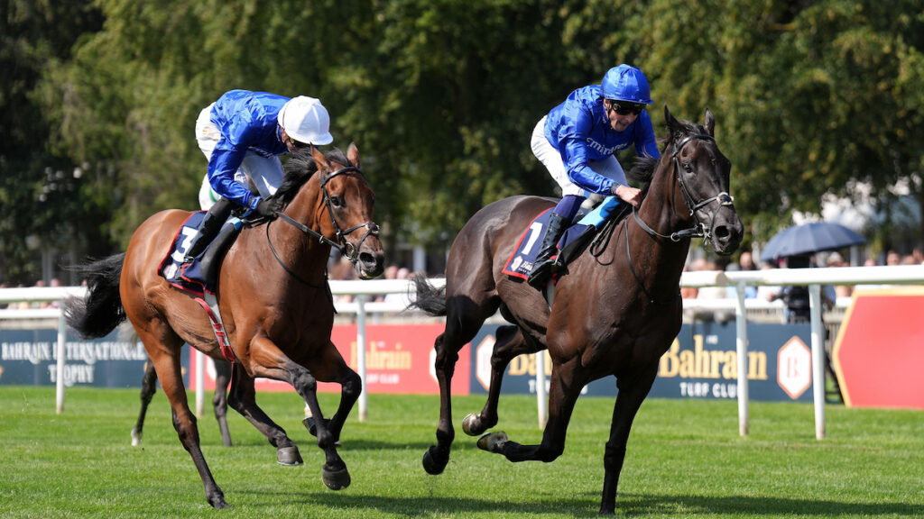 Racing news today: Rebel's Romance wins 22nd race & Gosden slams Gambling Commission - Friday 10 July