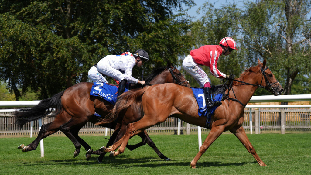Crisford camp has 1000 Guineas in their sights with Señorita Bonita