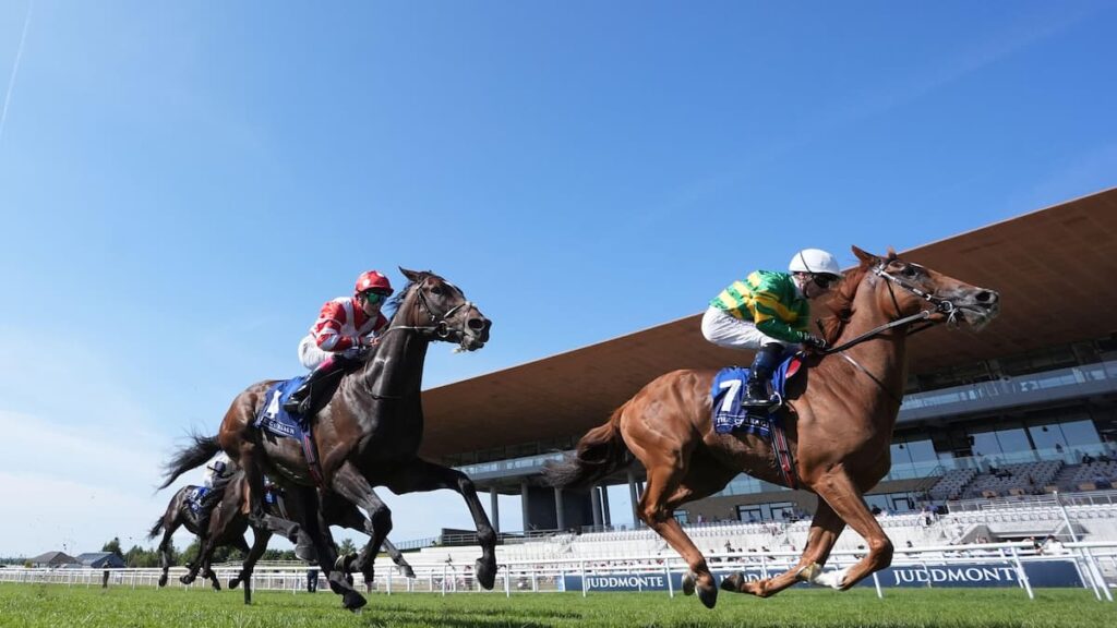 Melbourne Cup on the radar for Curragh Cup winner Trustyourinstinct