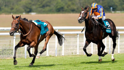 Racing news: Scandinavia emerges from Goodwood Cup drama – Wednesday 29 July