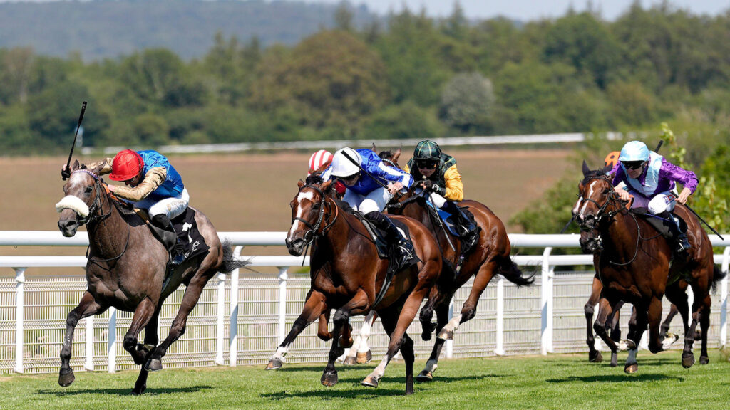 Flora of Bermuda gives Wathnan a day two double at Goodwood