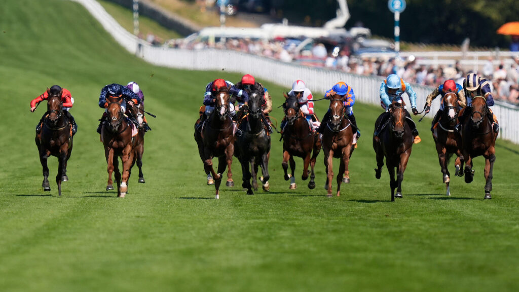 Nunthorpe tilt set for Pershaada after impressive Molecomb victory