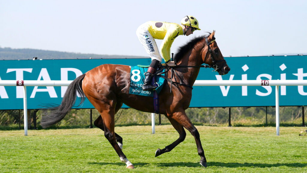 Brilliant Bow Echo remains unbeaten after Sussex Stakes success