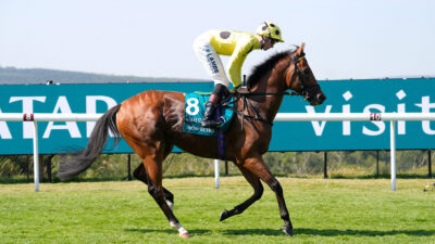 Brilliant Bow Echo remains unbeaten after Sussex Stakes success
