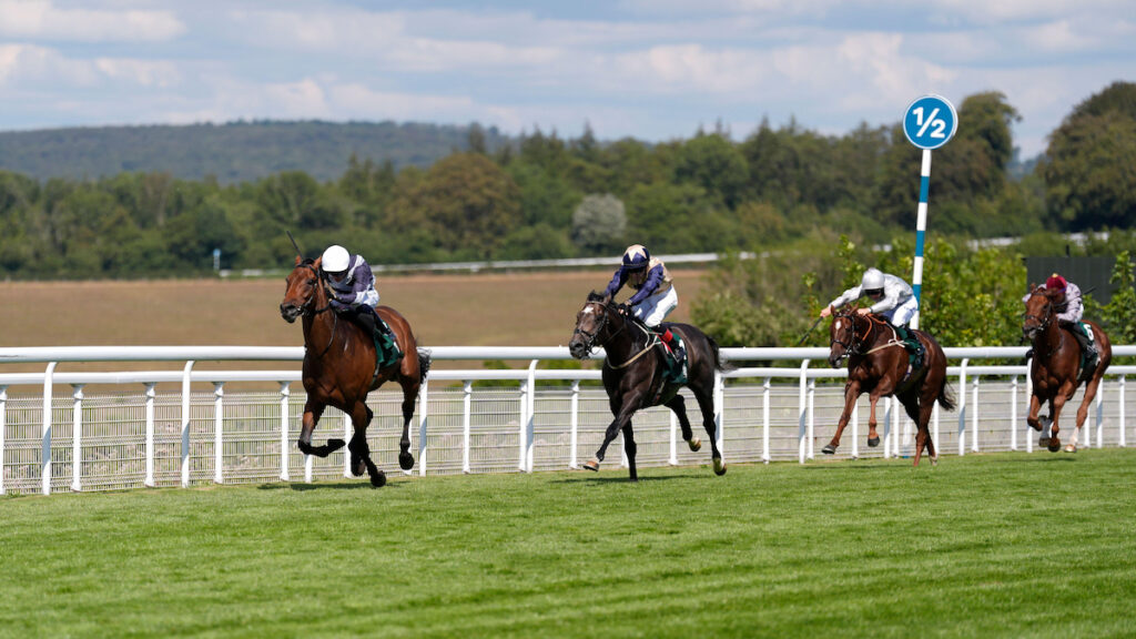 ‘Big baby’ Enceladus still improving after Gordon Stakes success